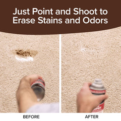 A hand sprays Bull Shot Carpet onto a carpet stain in the before image; the after image shows the area clean. Text above reads, Just Point and Shoot to Erase Stains and Odors.