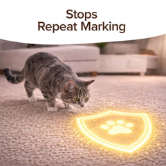 A gray tabby cat sniffs a carpet where a glowing shield with Bull Shot Pet Stains branding is digitally overlaid. Text above reads Stops Repeat Marking, emphasizing pet-safe protection and effective carpet stain removal against marking.