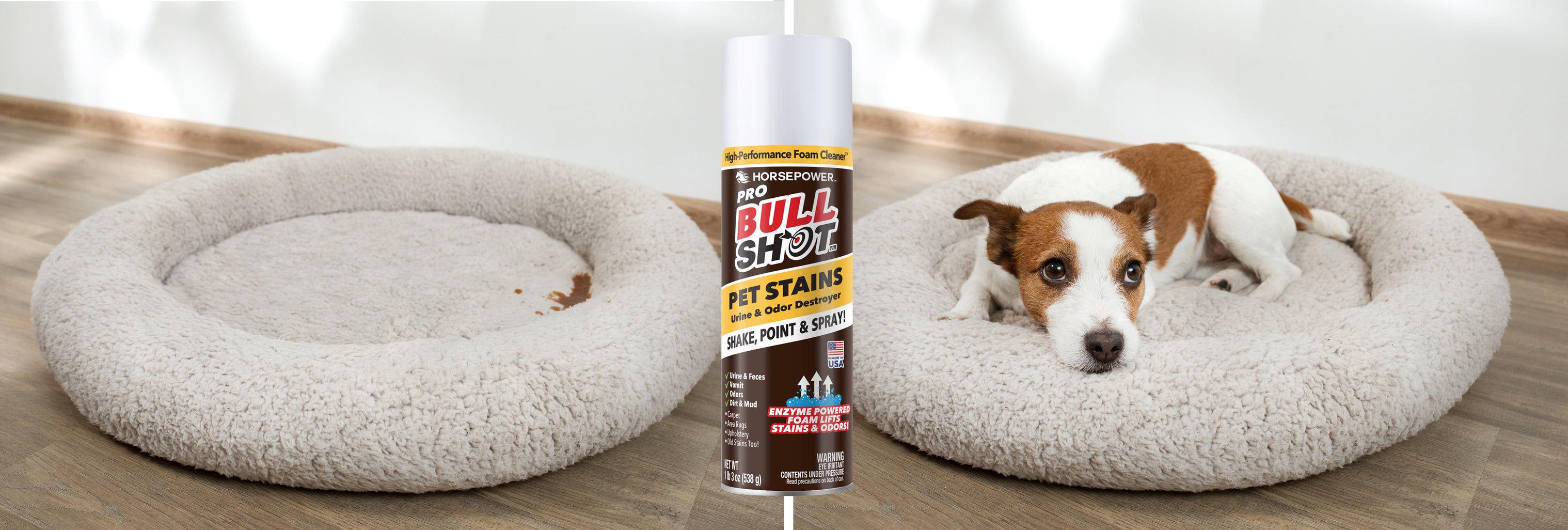 Refresh Pet Beds & Dog Rooms }}